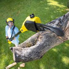 Reliable Pine Grove, CA  Tree Services Solutions